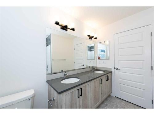 7 Homestead Passage Ne, Calgary, AB - Indoor Photo Showing Bathroom