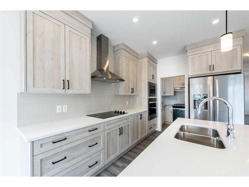 7 Homestead Passage Ne, Calgary, AB - Indoor Photo Showing Kitchen With Double Sink With Upgraded Kitchen