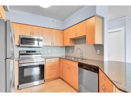 807-8710 Horton Road Sw, Calgary, AB - Indoor Photo Showing Kitchen With Double Sink