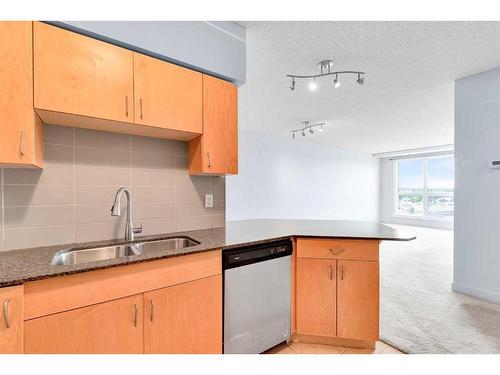 807-8710 Horton Road Sw, Calgary, AB - Indoor Photo Showing Kitchen With Double Sink