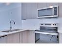 2220-681 Savanna Boulevard Ne, Calgary, AB  - Indoor Photo Showing Kitchen With Double Sink 