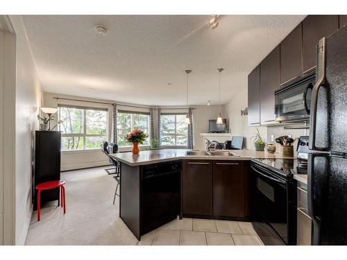 351-35 Richard Court Sw, Calgary, AB - Indoor Photo Showing Kitchen With Double Sink