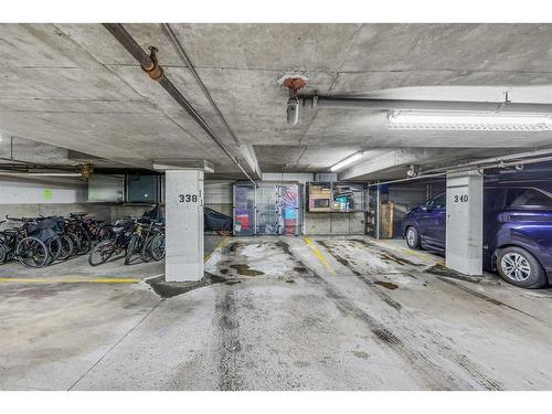 114-10 Discovery Ridge Close Sw, Calgary, AB - Indoor Photo Showing Garage