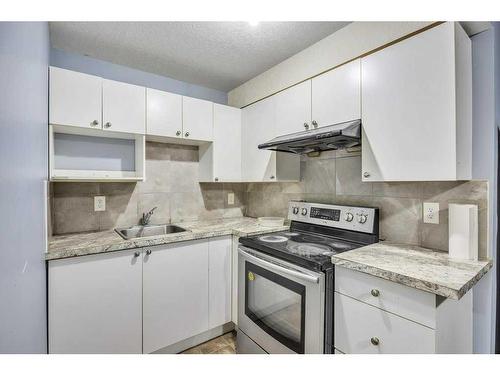 355 Saddlebrook Way Ne, Calgary, AB - Indoor Photo Showing Kitchen With Upgraded Kitchen