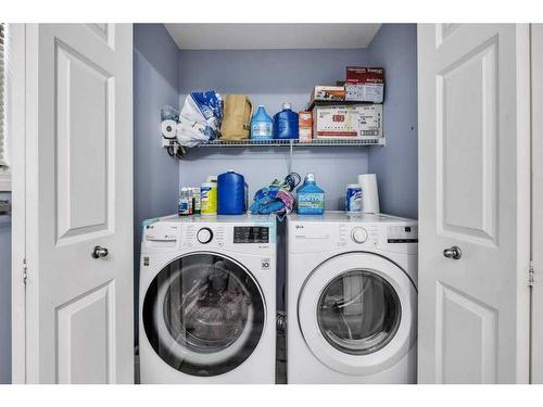 355 Saddlebrook Way Ne, Calgary, AB - Indoor Photo Showing Laundry Room