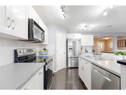 192 Copperfield Common Se, Calgary, AB - Indoor Photo Showing Kitchen With Stainless Steel Kitchen With Double Sink