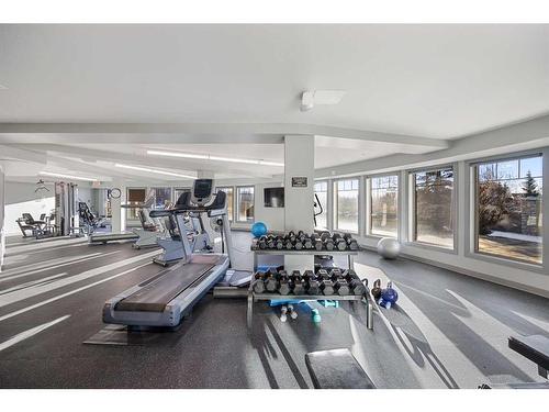 102-30 Cranfield Link Se, Calgary, AB - Indoor Photo Showing Gym Room