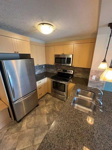 205-920 68 Avenue Sw, Calgary, AB - Indoor Photo Showing Kitchen With Stainless Steel Kitchen With Double Sink