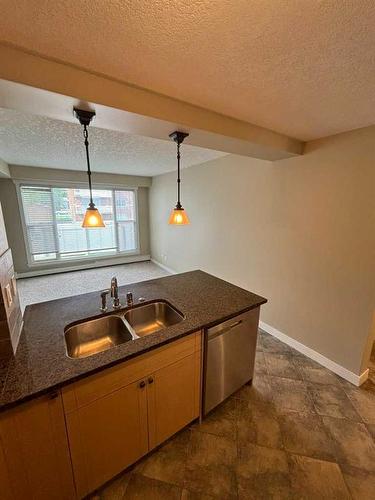 205-920 68 Avenue Sw, Calgary, AB - Indoor Photo Showing Kitchen With Double Sink