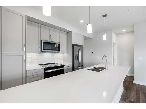 202-255 Les Jardins Park Se, Calgary, AB - Indoor Photo Showing Kitchen With Upgraded Kitchen