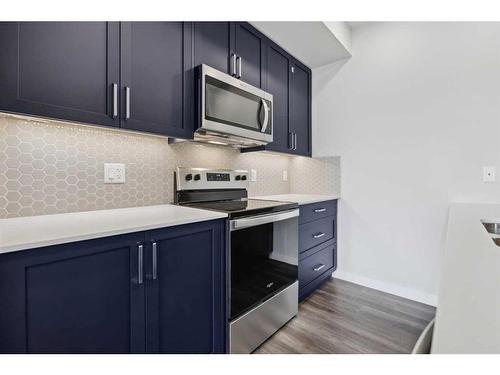 319-255 Les Jardins Park Se, Calgary, AB - Indoor Photo Showing Kitchen With Upgraded Kitchen