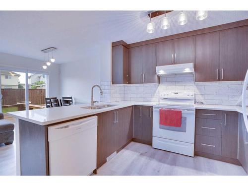 129 Coral Springs Mews Ne, Calgary, AB - Indoor Photo Showing Kitchen With Double Sink