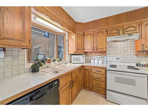 1252 Deer River Circle Se, Calgary, AB - Indoor Photo Showing Kitchen With Double Sink