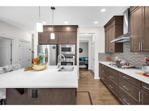 33 Savanna Common Ne, Calgary, AB - Indoor Photo Showing Kitchen With Stainless Steel Kitchen With Double Sink With Upgraded Kitchen