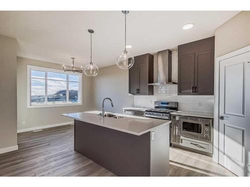 251 Belvedere Drive Se, Calgary, AB - Indoor Photo Showing Kitchen With Double Sink With Upgraded Kitchen