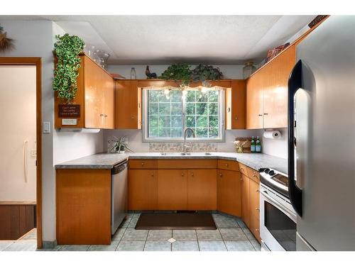 1948 Cottonwood Crescent Se, Calgary, AB - Indoor Photo Showing Kitchen With Double Sink
