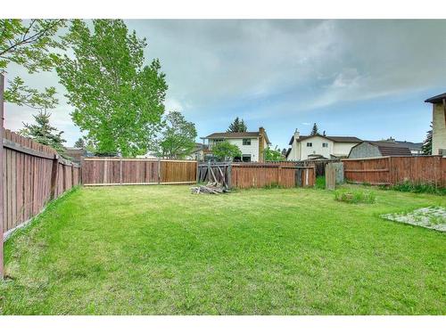 4016 44 Avenue Ne, Calgary, AB - Outdoor With Backyard