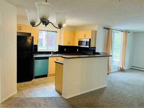 1101-10 Prestwick Bay Se, Calgary, AB - Indoor Photo Showing Kitchen With Double Sink