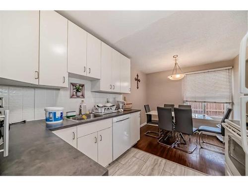 11-1615 Mcgonigal Drive Ne, Calgary, AB - Indoor Photo Showing Kitchen With Double Sink