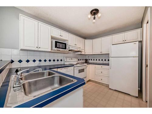 105 Mt Mckenzie Gardens Se, Calgary, AB - Indoor Photo Showing Kitchen With Double Sink