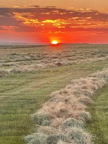 Hwy 23, Rural Foothills County, AB 