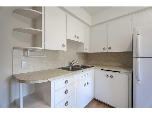 2105 7 Street Ne, Calgary, AB - Indoor Photo Showing Kitchen With Double Sink