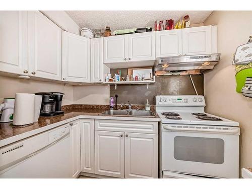 151-405 64 Avenue Ne, Calgary, AB - Indoor Photo Showing Kitchen With Double Sink