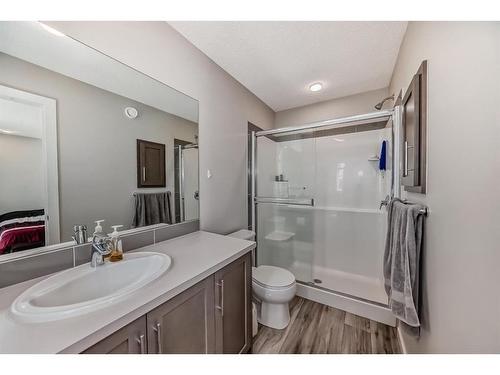 168 Livingston View Ne, Calgary, AB - Indoor Photo Showing Bathroom