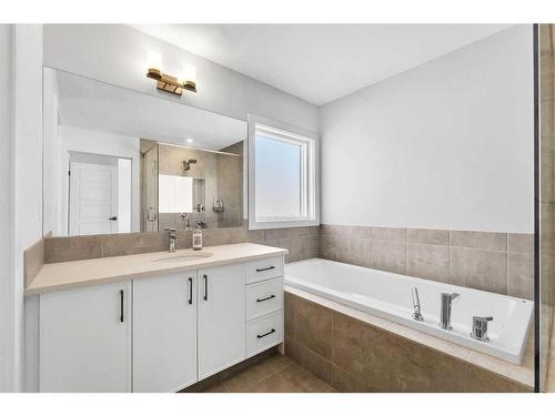 291 Seton Road Se, Calgary, AB - Indoor Photo Showing Bathroom