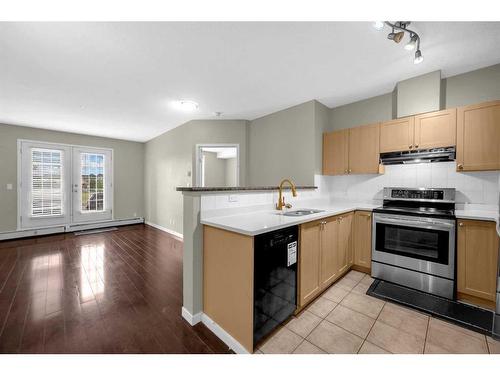 1114-333 Taravista Drive Ne, Calgary, AB - Indoor Photo Showing Kitchen With Double Sink