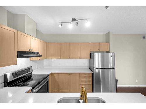 1114-333 Taravista Drive Ne, Calgary, AB - Indoor Photo Showing Kitchen With Double Sink