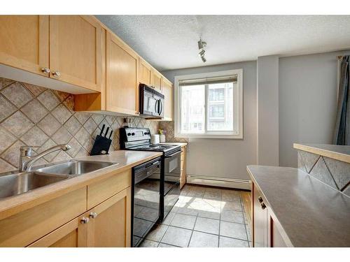 304-835 18 Avenue Sw, Calgary, AB - Indoor Photo Showing Kitchen With Double Sink