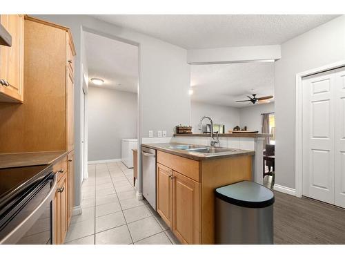 101-15212 Bannister Road Se, Calgary, AB - Indoor Photo Showing Kitchen With Double Sink