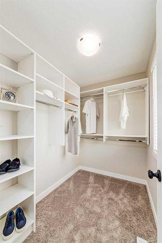 259 Cornerbrook Road Ne, Calgary, AB - Indoor With Storage