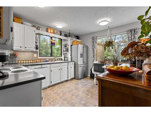 6659 Temple Drive Ne, Calgary, AB - Indoor Photo Showing Kitchen With Double Sink