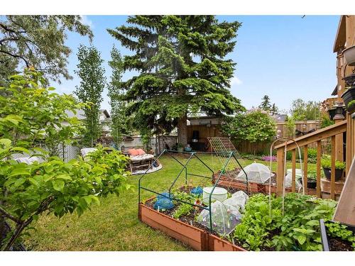 6659 Temple Drive Ne, Calgary, AB - Outdoor With Backyard