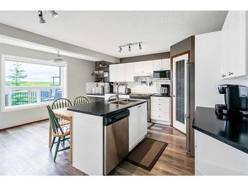 341 Citadel Meadow Bay Nw, Calgary, AB - Indoor Photo Showing Kitchen With Double Sink