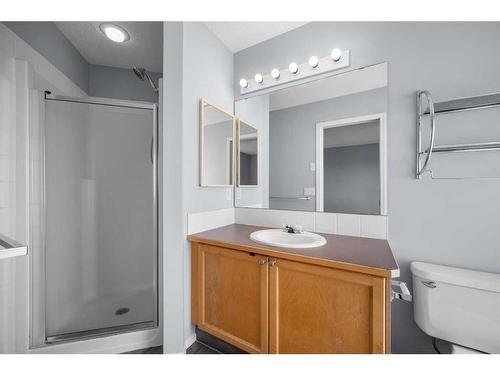 244 Citadel Way Nw, Calgary, AB - Indoor Photo Showing Bathroom