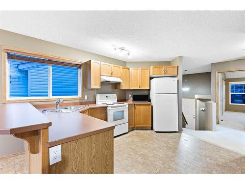 8 Everridge Road Sw, Calgary, AB - Indoor Photo Showing Kitchen With Double Sink