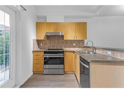 210-527 15 Avenue Sw, Calgary, AB - Indoor Photo Showing Kitchen With Double Sink