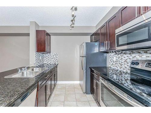 2111-1317 27 Street Se, Calgary, AB - Indoor Photo Showing Kitchen With Double Sink With Upgraded Kitchen