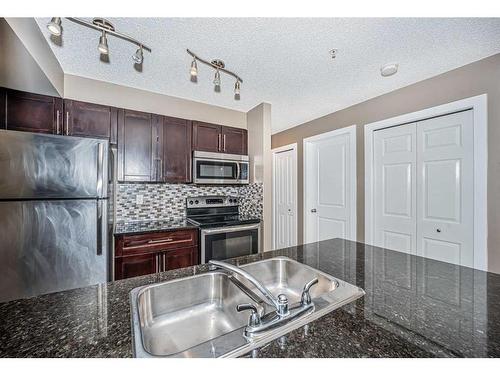 2111-1317 27 Street Se, Calgary, AB - Indoor Photo Showing Kitchen With Double Sink