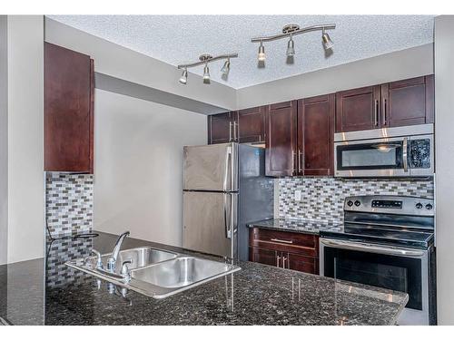 2111-1317 27 Street Se, Calgary, AB - Indoor Photo Showing Kitchen With Double Sink