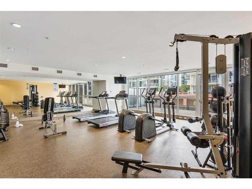 321-619 Confluence Way Se, Calgary, AB - Indoor Photo Showing Gym Room