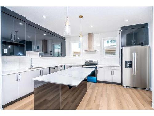 521 Corner Meadows Square Ne, Calgary, AB - Indoor Photo Showing Kitchen With Upgraded Kitchen