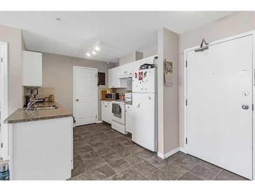 207-1010 Railway Street, Crossfield, AB - Indoor Photo Showing Kitchen