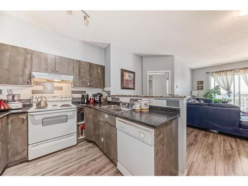 1414-1140 Taradale Drive Ne, Calgary, AB - Indoor Photo Showing Kitchen With Double Sink