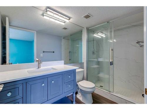 344-7030 Coach Hill Road Sw, Calgary, AB - Indoor Photo Showing Bathroom