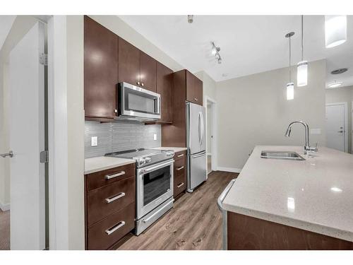 209-1720 10 Street Sw, Calgary, AB - Indoor Photo Showing Kitchen With Double Sink With Upgraded Kitchen