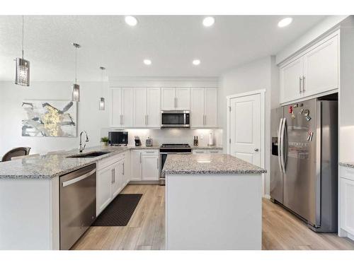 62 Nolanhurst Gardens Nw, Calgary, AB - Indoor Photo Showing Kitchen With Stainless Steel Kitchen With Upgraded Kitchen